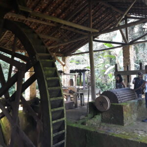 Dia no Quilombo - Crianças