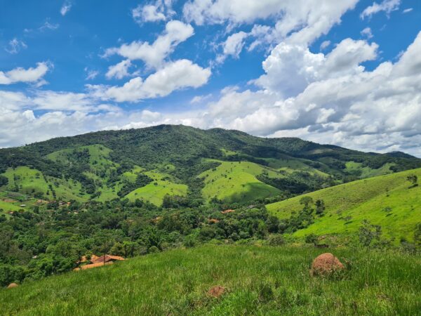 Encanto Caipira - Crianças de 8 a 12 anos - Imagem 4